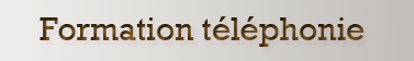 Téléphonie